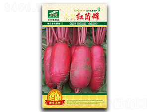 ȫ�d�tͲ��-�tƤ�}���N��-ȫ�d�N�I(y��)