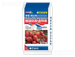 ��ݮ���t����������T��(d��o)��-���혷