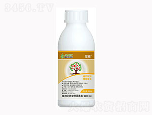 �Ǵ��������}�V�F-��Z-������