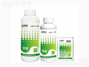 ����16Ԫ��+FG��-������