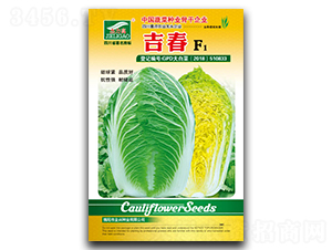 ����-�ײ˷N��-ȫ�d�N�I(y��)