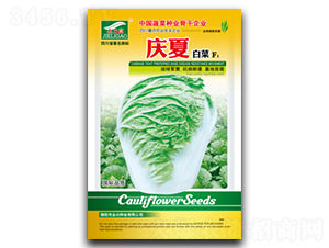 �c��-�ײ˷N��-ȫ�d�N�I(y��)