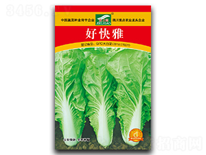 �ÿ���-��˷N��-ȫ�d�N�I(y��)