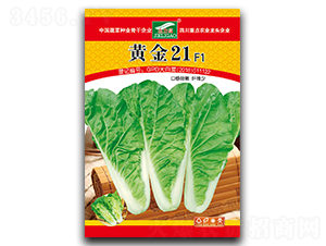 �S��21-��˷N��-ȫ�d�N�I(y��)