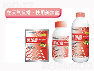 ���Ӹ��������߄�-��ʿ�r(n��ng)�I(y��)