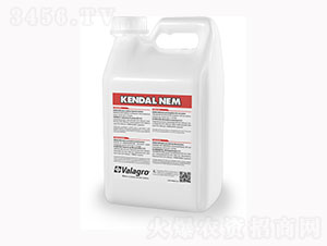 ���x���߄�-��ʿ�r(n��ng)�I(y��)