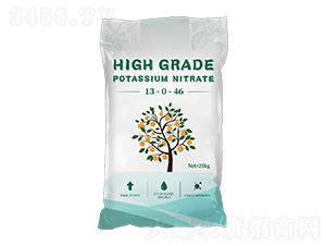 �����13-0-46-���_(d��)��