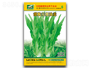 ����o(w��)������-�����˷N��-ȫ�d�N�I(y��)