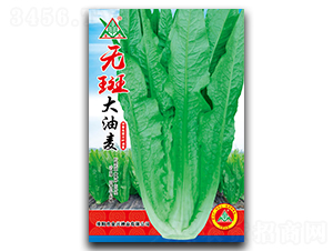 �o(w��)�ߴ�����-�����˷N��-ȫ�d�N�I(y��)