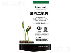 ��������-�����r(n��ng)-���r(n��ng)