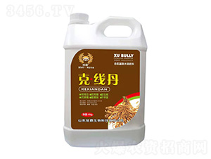 �˾���-�������