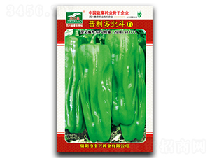 �����౱��-�˽��N��-ȫ�d�N�I(y��)