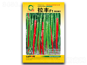 ���S-�����N��-ȫ�d�N�I(y��)