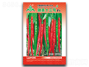 ����ʮ��̖-�����N��-ȫ�d�N�I(y��)