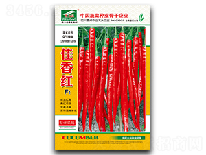 ����t-�����N��-ȫ�d�N�I(y��)