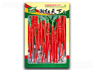 ��t����-�����N��-ȫ�d�N�I(y��)