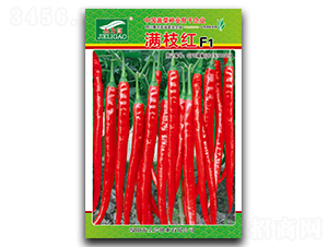 �M֦�t-�����N��-ȫ�d�N�I(y��)