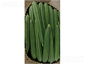 華翠-絲瓜種子-克勤種子