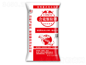 �����w���-�f�S��