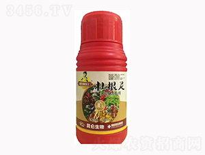 中藥材壯根靈-愛(ài)普達(dá)