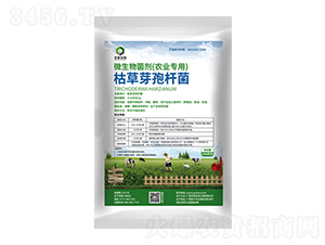 �ݲ�ѿ�ߗU��-�r(n��ng)������