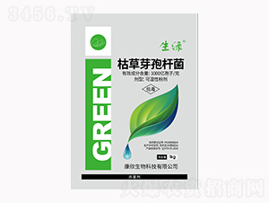 �ݲ�ѿ�ߗU��-��������