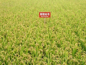 �µ�10̖(h��o)-ˮ���N��-�ػͷN�I(y��)