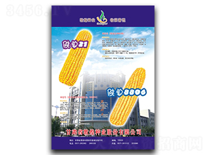 ꃆ�8806-���׷N��-�ػͷN�I(y��)