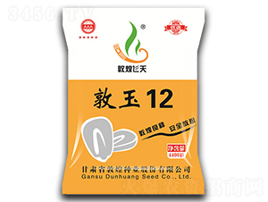 ����12-���׷N��-�ػͷN�I(y��)