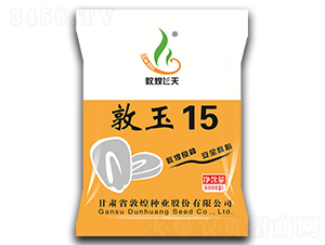 敦玉15（8000粒）-玉米種子-敦煌種業(yè)