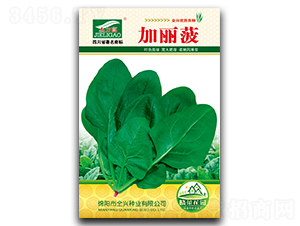 ������-���˷N��-ȫ�d�N�I(y��)