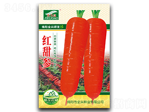 �t����-���}���N��-ȫ�d�N�I(y��)