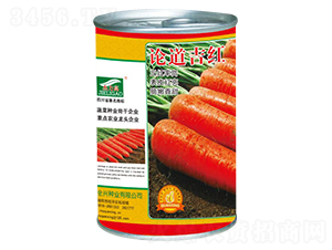 Փ�����t-���}���N��-ȫ�d�N�I(y��)