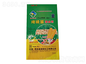 ������ڽ���-������