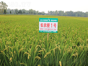 �L(zh��ng)�r(n��ng)��1̖(h��o)-ˮ���N��-��N�I(y��)