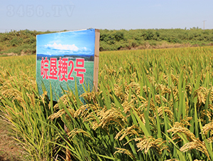 ���2̖(h��o)-ˮ���N��-��N�I(y��)