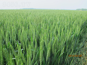 ���0901-С���N��-��N�I(y��)