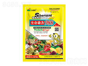 ������(d��ng)��988-�~����