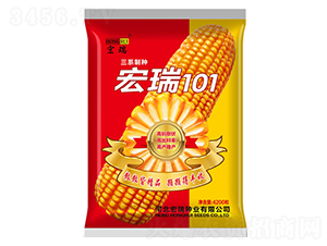 宏瑞101（紅）-玉米種子-宏瑞種業(yè)