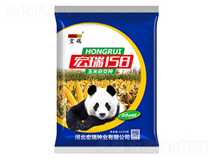 宏瑞158（藍(lán)）-玉米種子-宏瑞種業(yè)