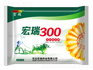 宏瑞300-玉米種子-宏瑞種業(yè)