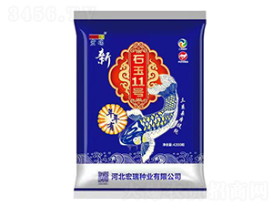 ʯ��11̖-���׷N��-����N�I(y��)