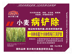 ΢�����-С�����P��-���S��