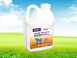 ������-����