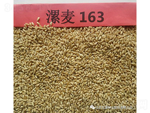 ����163-С���N��-�t��N�I(y��)