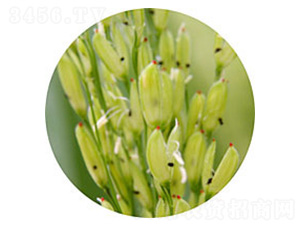 ̩����A-ˮ���N��-�t��N�I(y��)