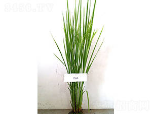 ̩106A-ˮ���N��-�t��N�I(y��)