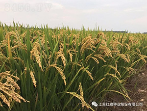 �R��20-ˮ���N��-�t��N�I(y��)