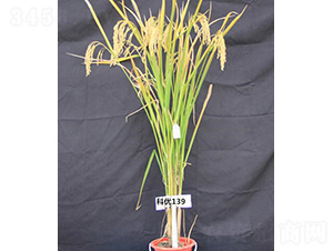 �ƃ�(y��u)139-ˮ���N��-�t��N�I(y��)