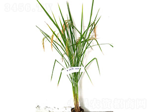 ̩��(y��u)647-ˮ���N��-�t��N�I(y��)